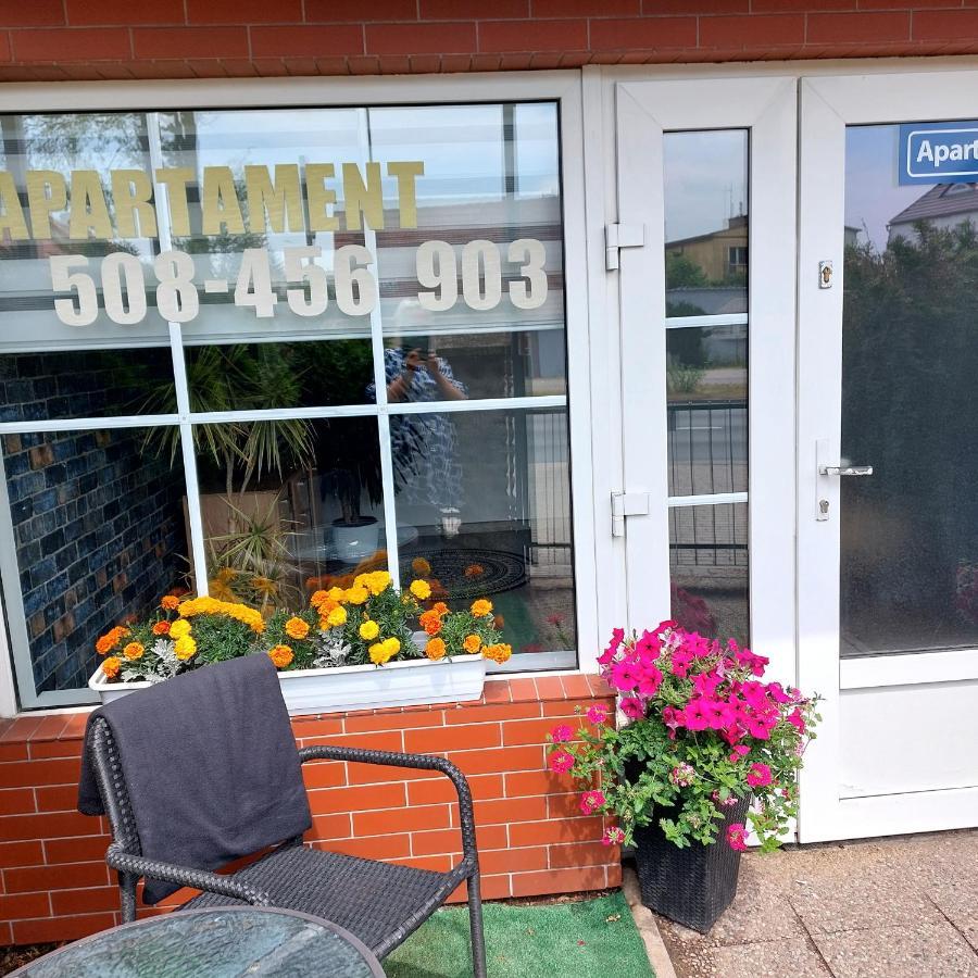 Apartament Przy Bialym Koniu Koszalin Bagian luar foto