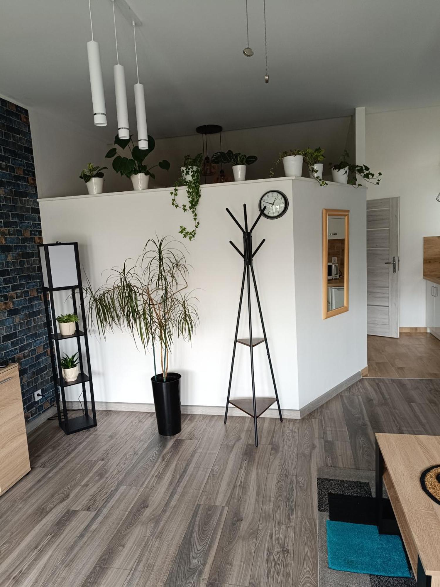 Apartament Przy Bialym Koniu Koszalin Bagian luar foto